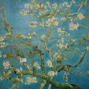 van gogh almond blossom