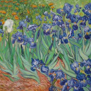 van gogh irises